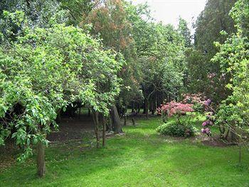 Robin Hood Foxwood Guest House מראה חיצוני תמונה
